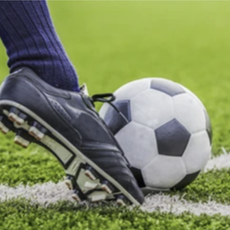 Fundraising Page: Erin Arend